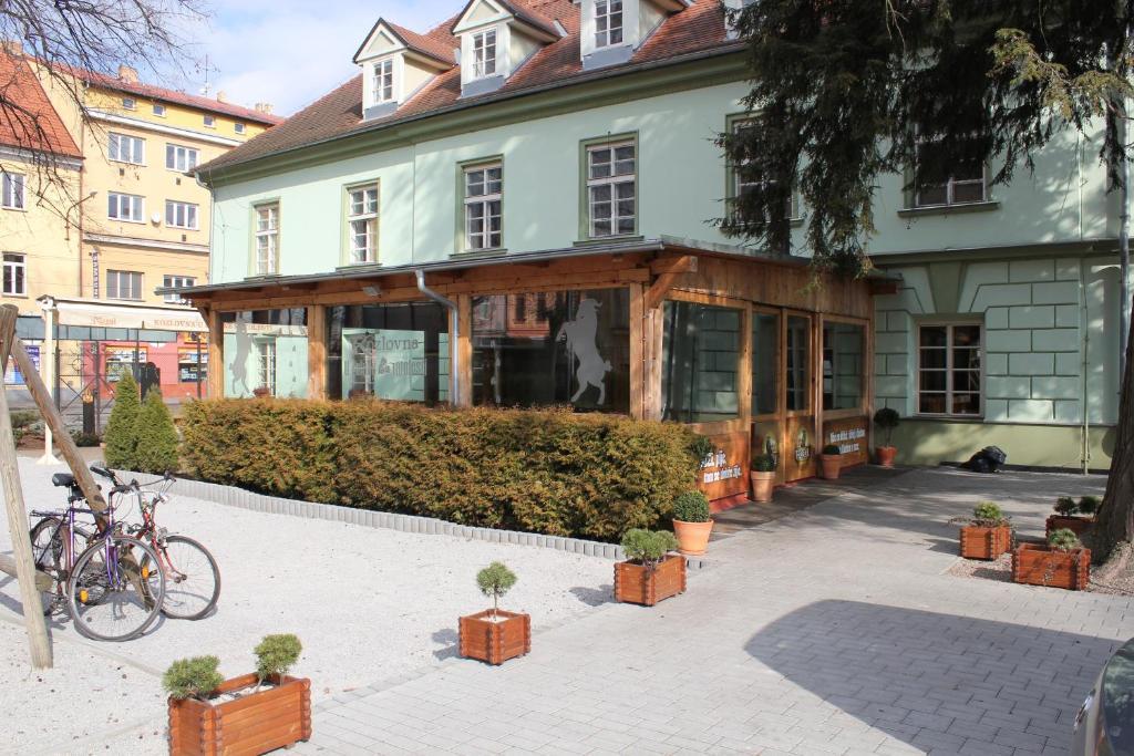 Zelena Ratolest Hotel Чешка Будьовица Екстериор снимка