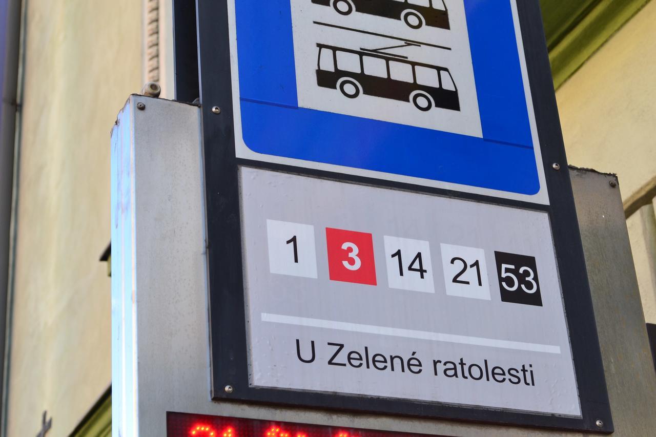 Zelena Ratolest Hotel Чешка Будьовица Екстериор снимка